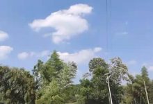 百度竞价推广丨oCPC优化操作指导-乐予博客